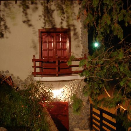 Rem'S Pension Rîşnov Exteriér fotografie