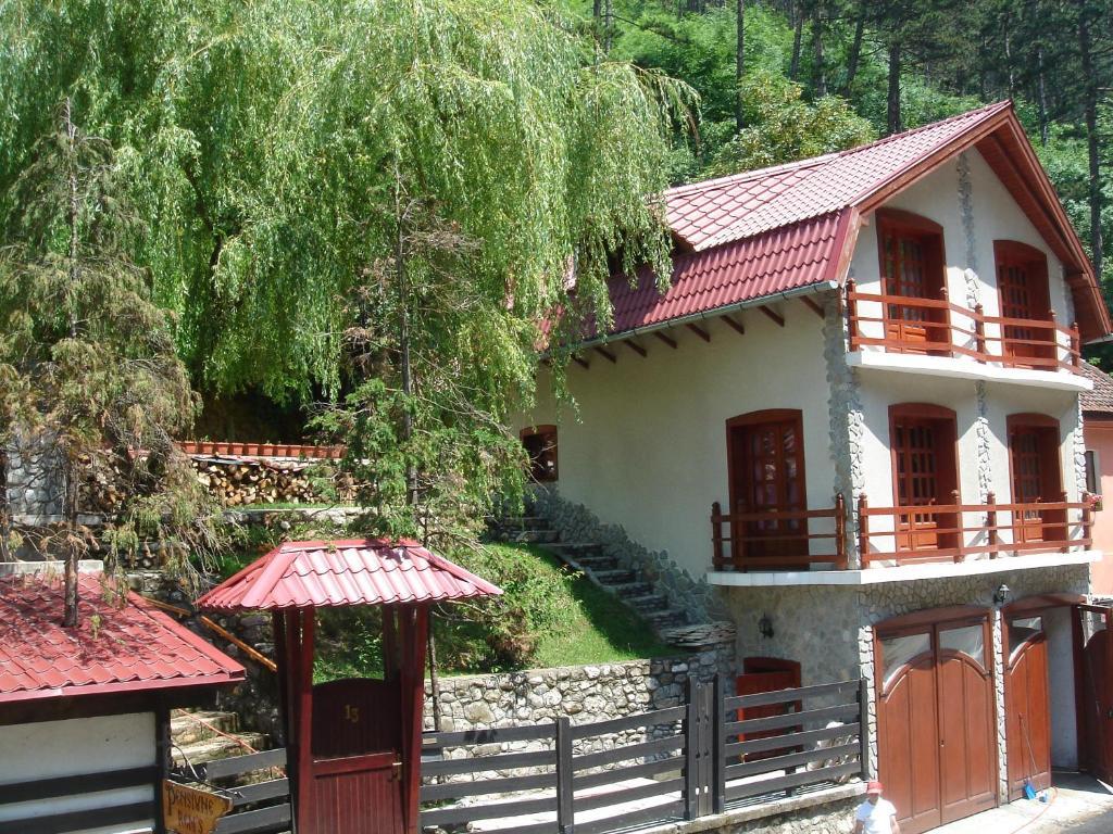 Rem'S Pension Rîşnov Exteriér fotografie