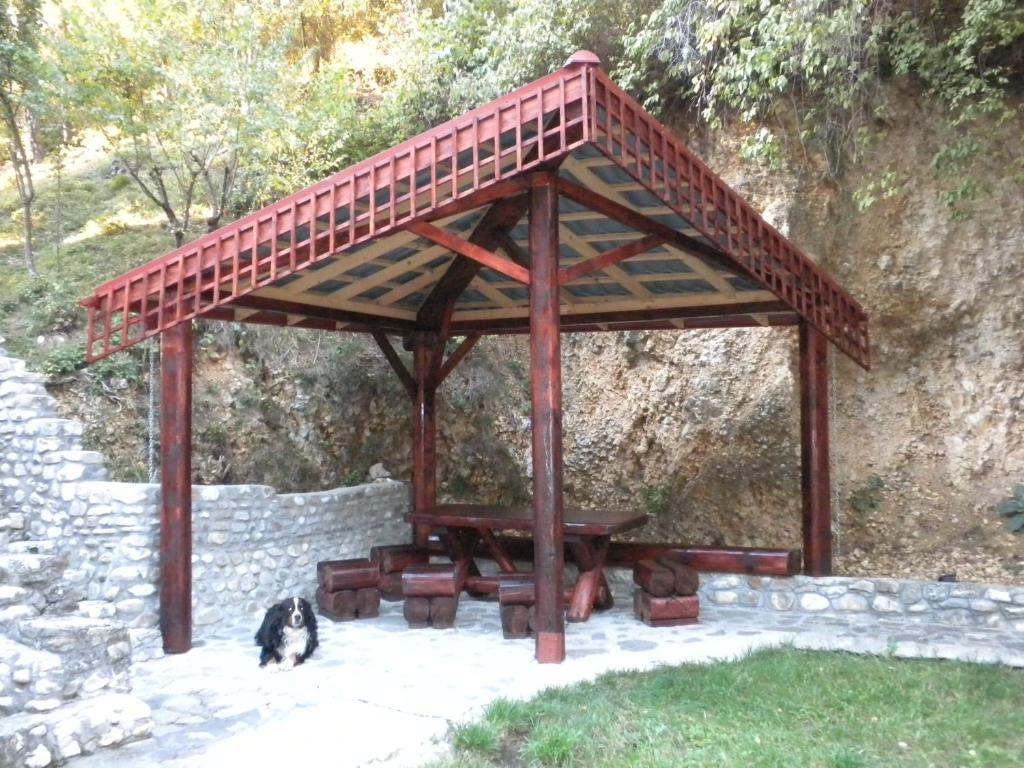 Rem'S Pension Rîşnov Exteriér fotografie
