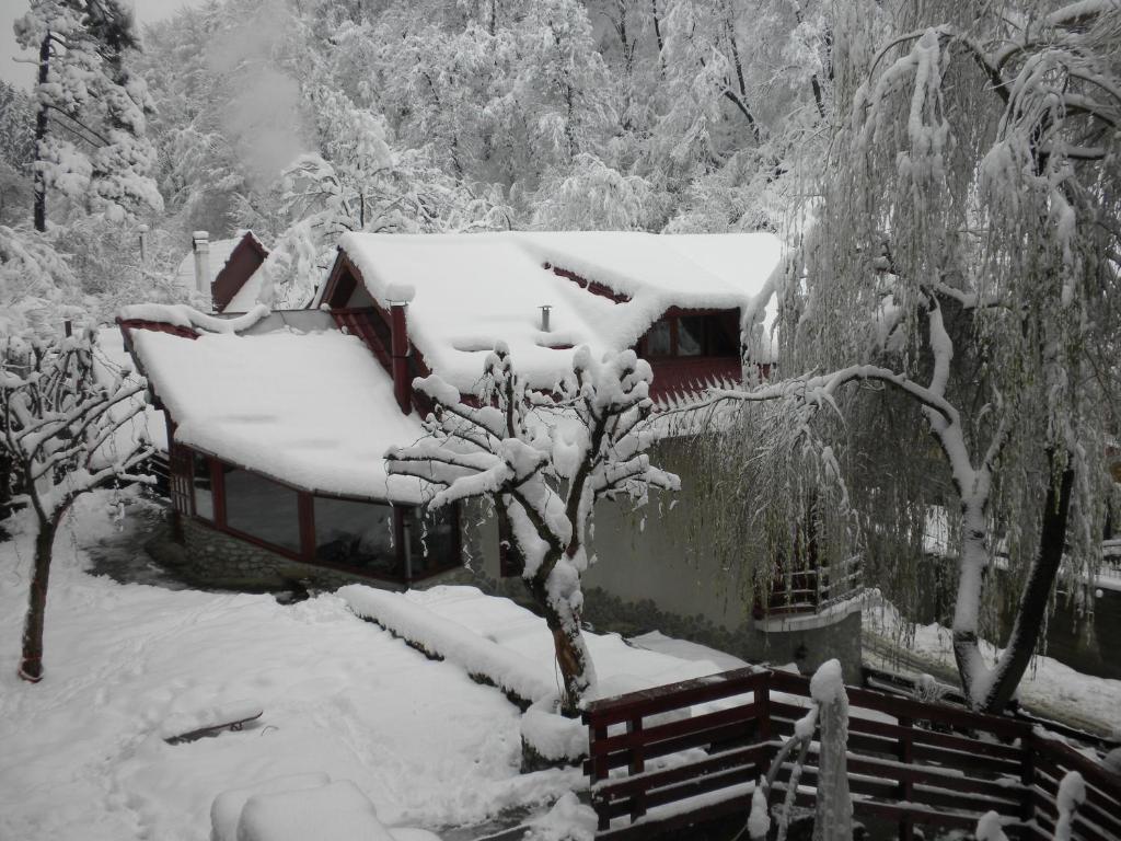 Rem'S Pension Rîşnov Exteriér fotografie